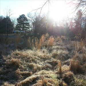 Thank God the Liquor Stores Don't Close on Christmas Eve