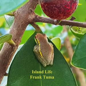 I'll Never Forget This Night