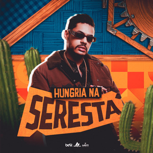Cara Metade (Seresta Remix)