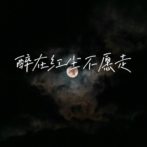 醉在红尘不愿走