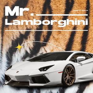 Mr.Lamborghini