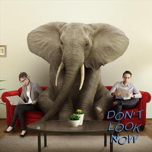 The Elephant in the Room