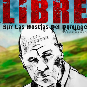 Quijotadas