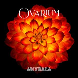 Ovarium
