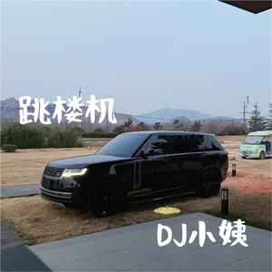 跳楼机 (DJ版)