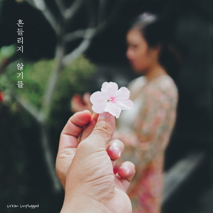 흔들리지 않기를