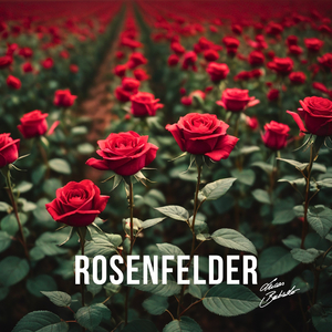 Rosenfelder