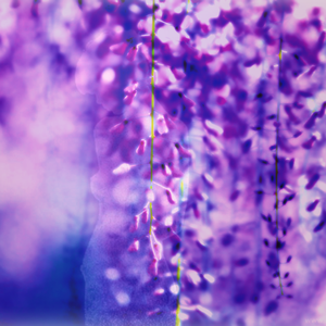 あなたのことを考える