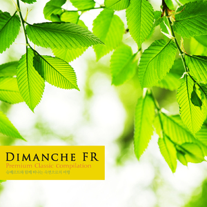 6 Moments musicaux D.780 - II. Andantino