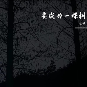 开始懂了