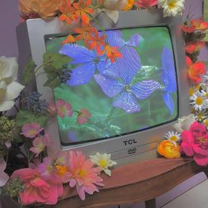 {免费伴奏}say ooh！