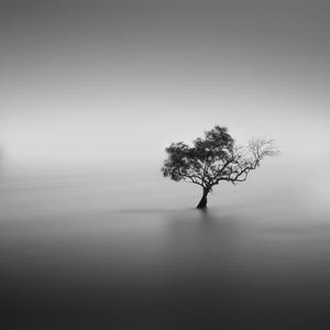 Burdened