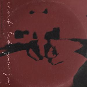 Can't Let You Go (feat. Lil Throat Cancer & DJJ)