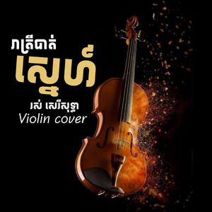 រាត្រីបាត់ស្នេហ៍- វីយូឡុង