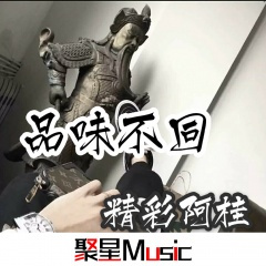 你就是我拒绝别人的理由 (Remix)