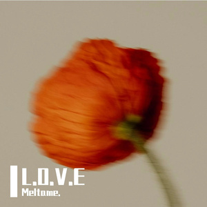 For Love(Prod.by FireX)