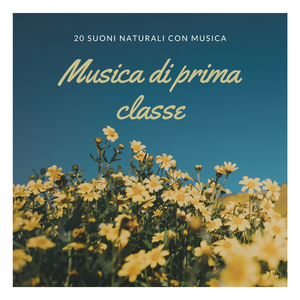 Settimo chakra (musica di atmosfera)