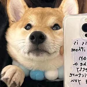 特别的人（翻唱）