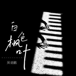 白色枫叶