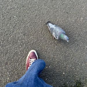 刻在你心底的名字（Thc Cover）