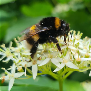 Somehwere out There (Bored Eyes)