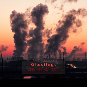 Umhverfismengun, Hl. 1