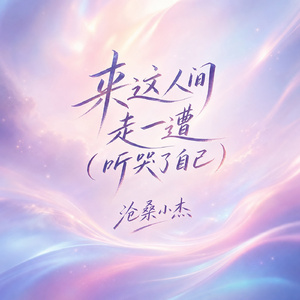 来这人间走一遭(听哭了自己)