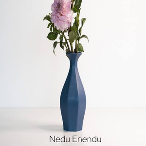 Nedu Enendu