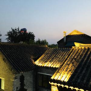 难以忘记的温柔