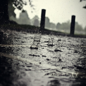 비 내리던 어느 봄날