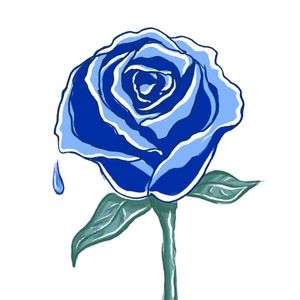 总结后的准备工作