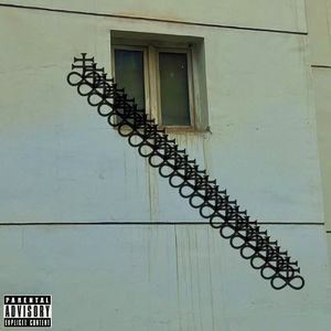 MONEY FOLLOWER【跟前走】