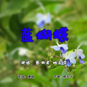 蓝蝴蝶