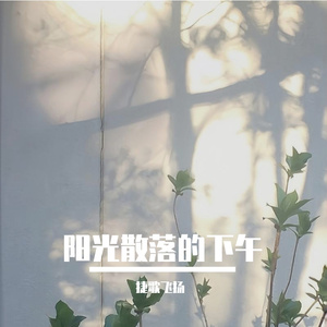 阳光散落的下午