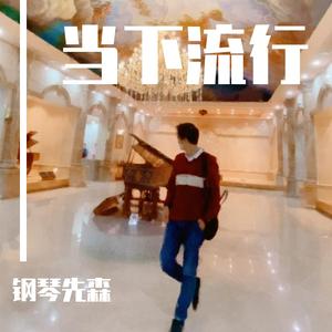 Friend（翻自 钢琴先森）