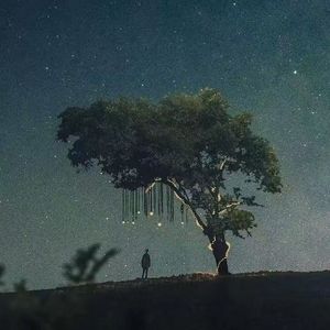 回忆化成雨.VOL1