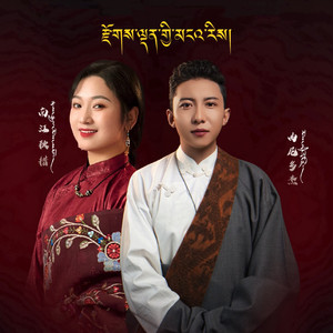 美满的阿里