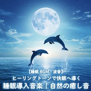 夜の静寂 (効果音 波音)