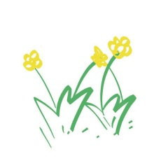 蝴蝶泉边 (温柔女声版)