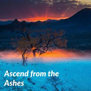 Kismet's Journey