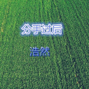 分手的事