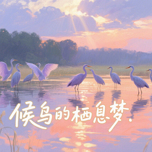 《候鸟的栖息梦》