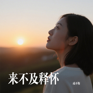 来不及释怀