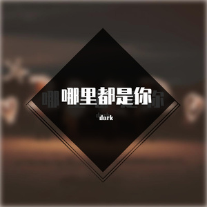 队长 哪里都是你（Dj dark Hard Bootleg Remix） (2)