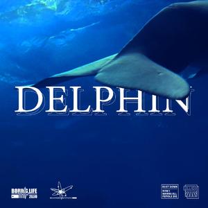 DELPHIN