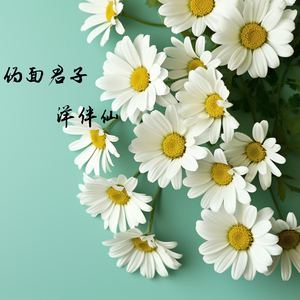 伪面君子
