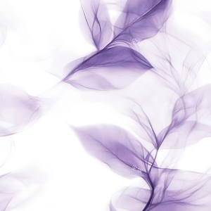 250503(Prod by Anei)