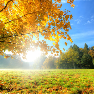 我的心肝宝贝（儿童歌曲）