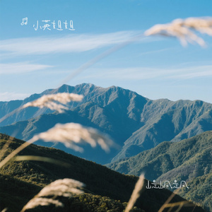 山是山风是风（Cover 王一佳）