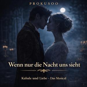 Wenn nur die Nacht uns sieht